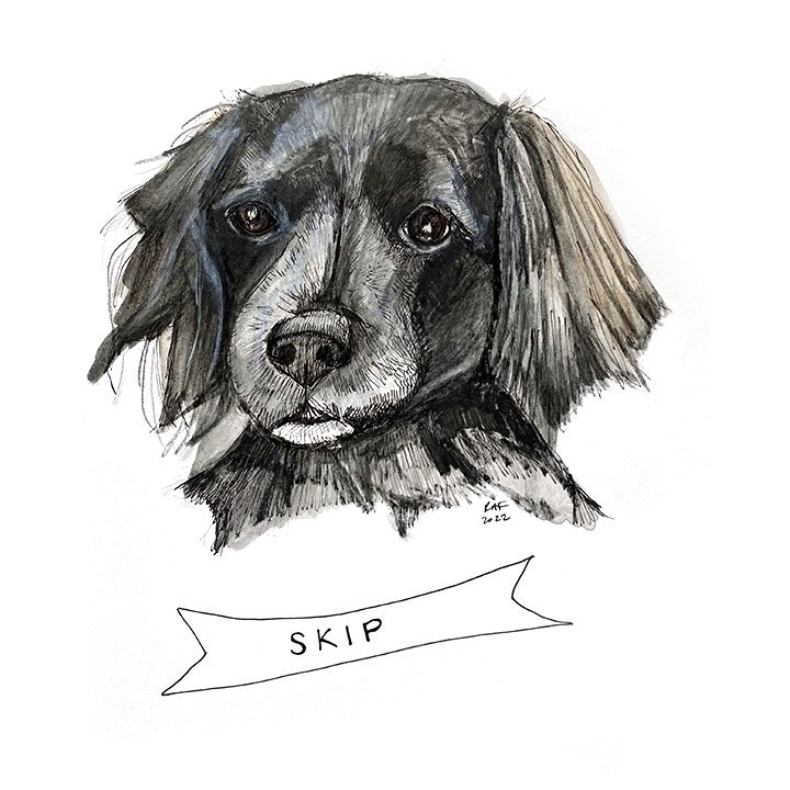 skip.jpg