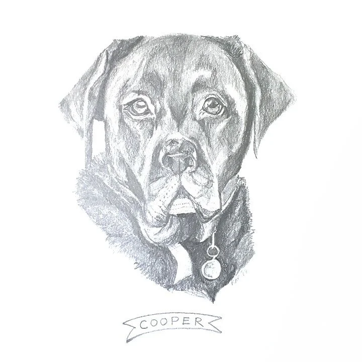 Cooper.jpg