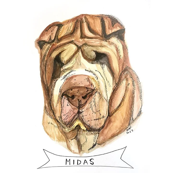 Midas.jpg