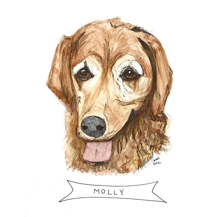 Molly.jpg