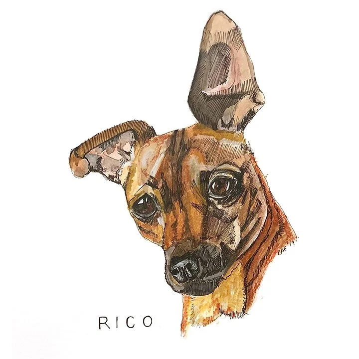 Rico.jpg