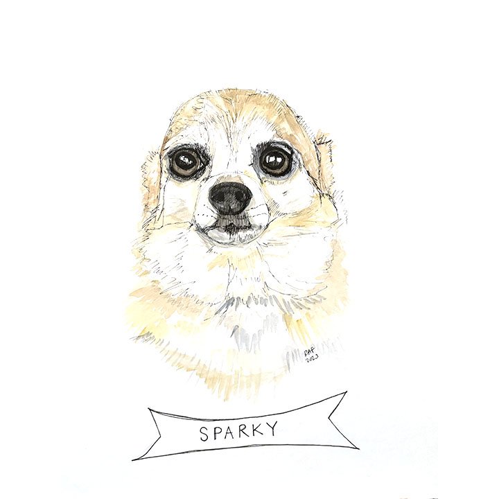 Sparky.jpg