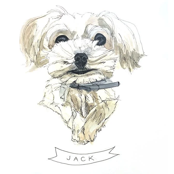 Jack2.jpg
