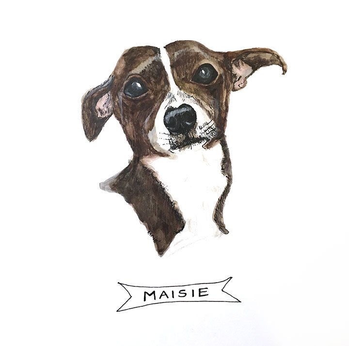 Maisie.jpg