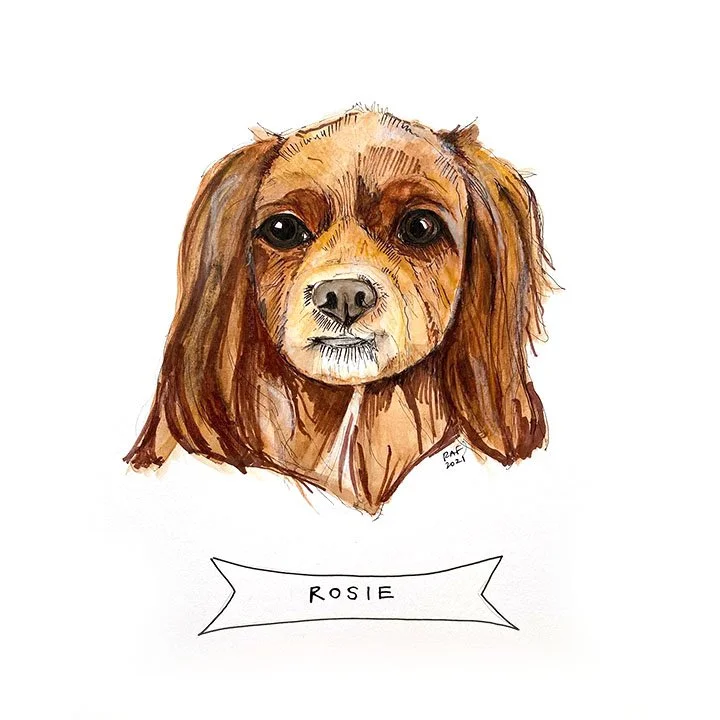 Rosiedog.jpg