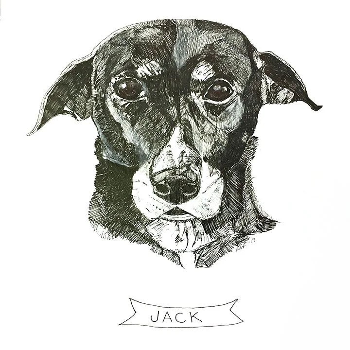 Jack.jpg