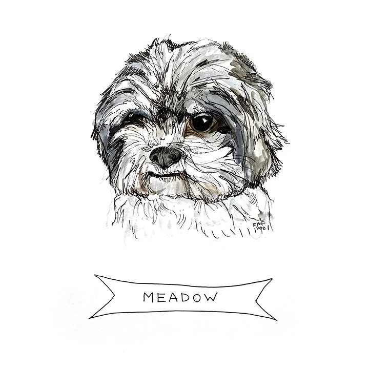 Meadow.jpg