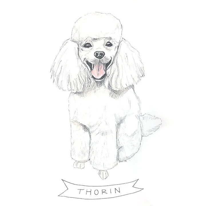Thorin.jpg