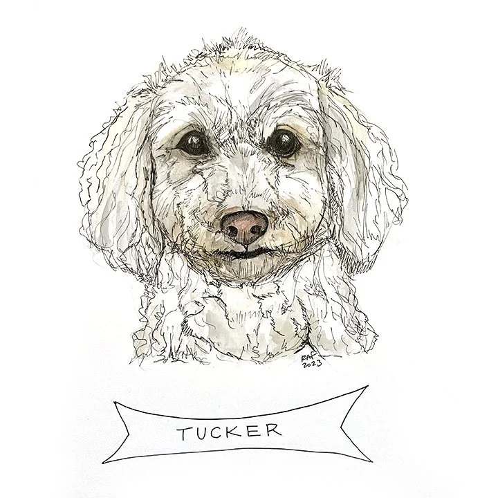 Tucker.jpg