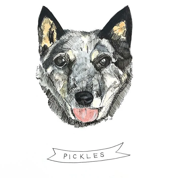 Pickles.jpg