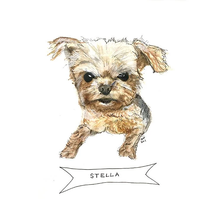 Stelladog.jpg