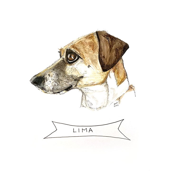Lima.jpg