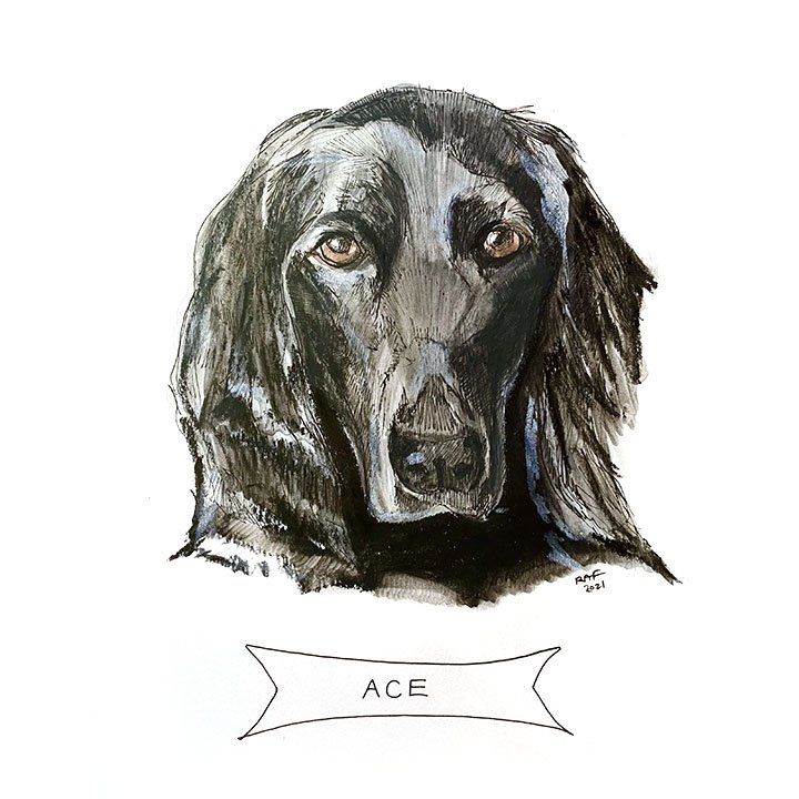 Ace.jpg