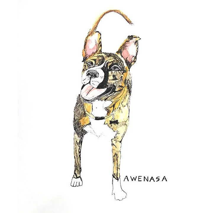 Awenasa.jpg