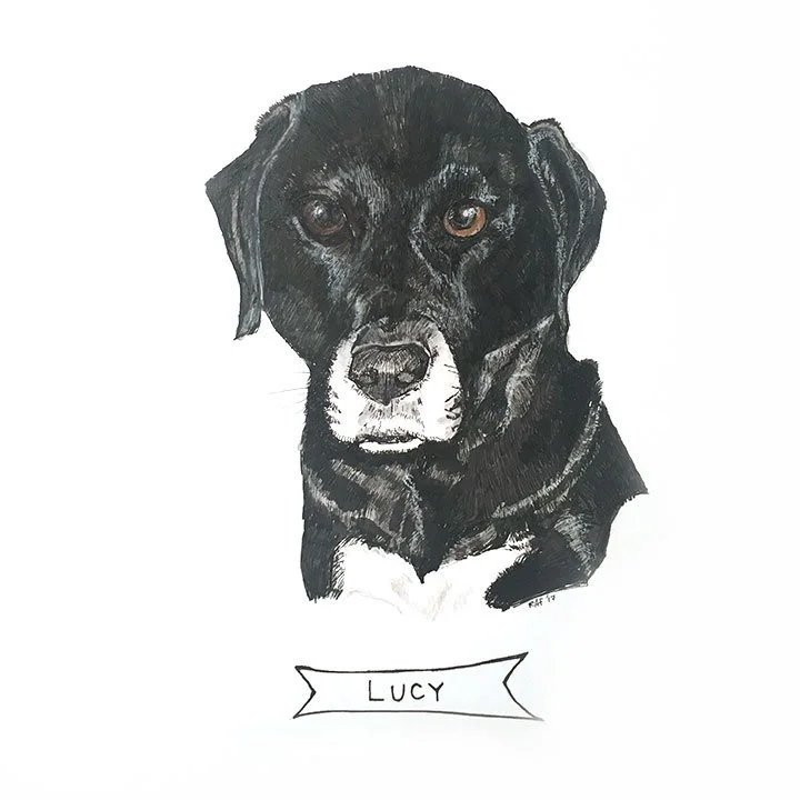 Lucy.jpg