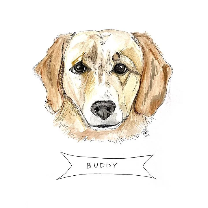 Buddy.jpg
