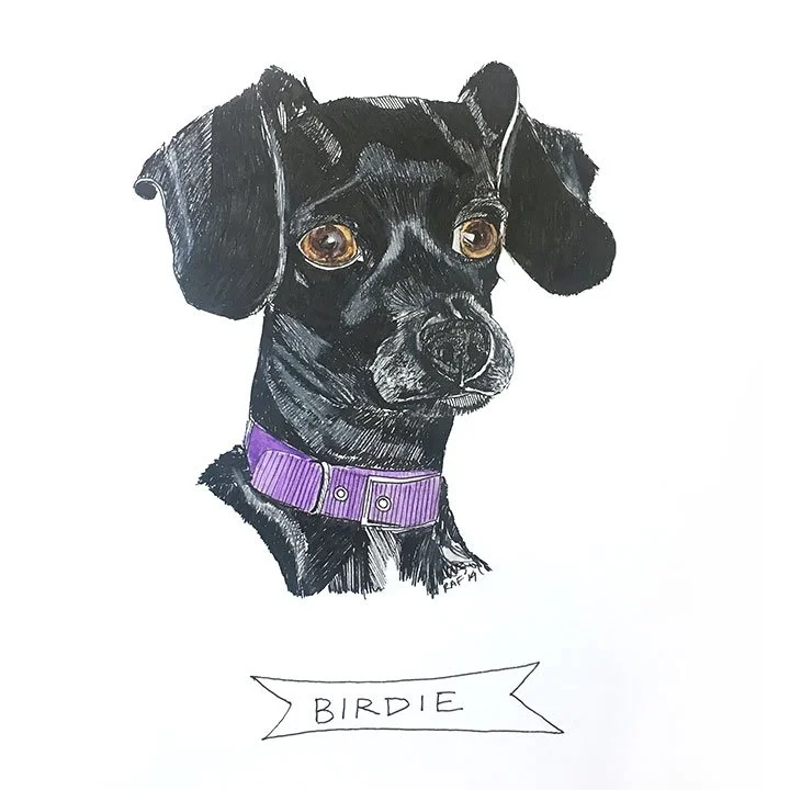 Birdie.jpg
