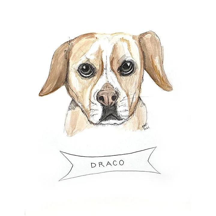 Draco.jpg