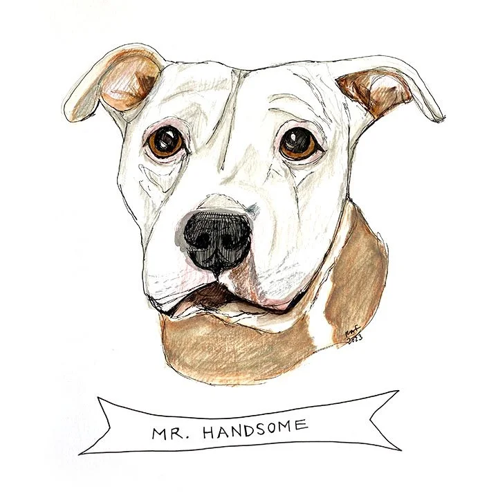 Mr.Handsome.jpg