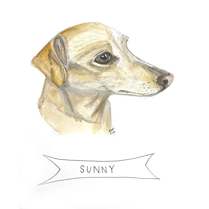 Sunny.jpg