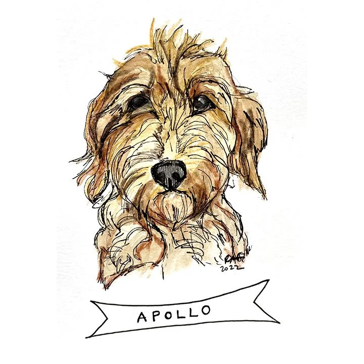 Apollo.jpg