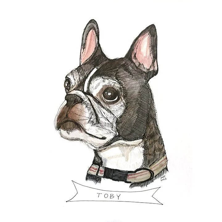 Toby.jpg