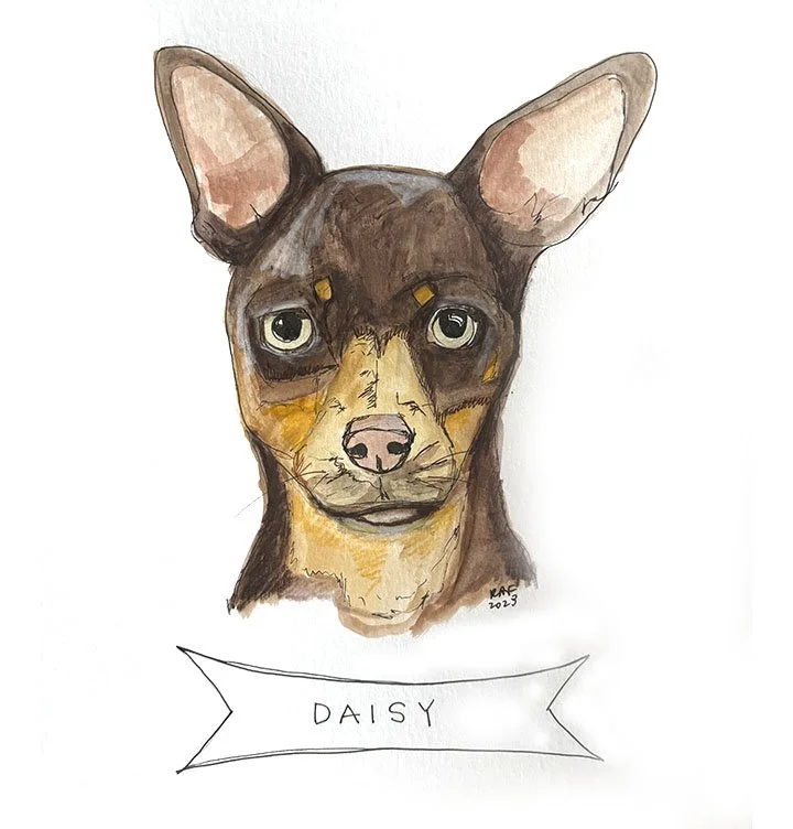 Daisy.jpg