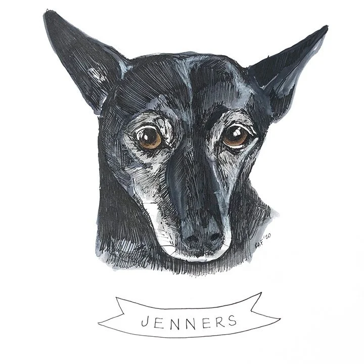 Jenners.jpg