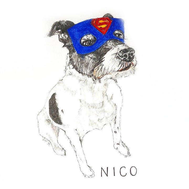 Nico.jpg