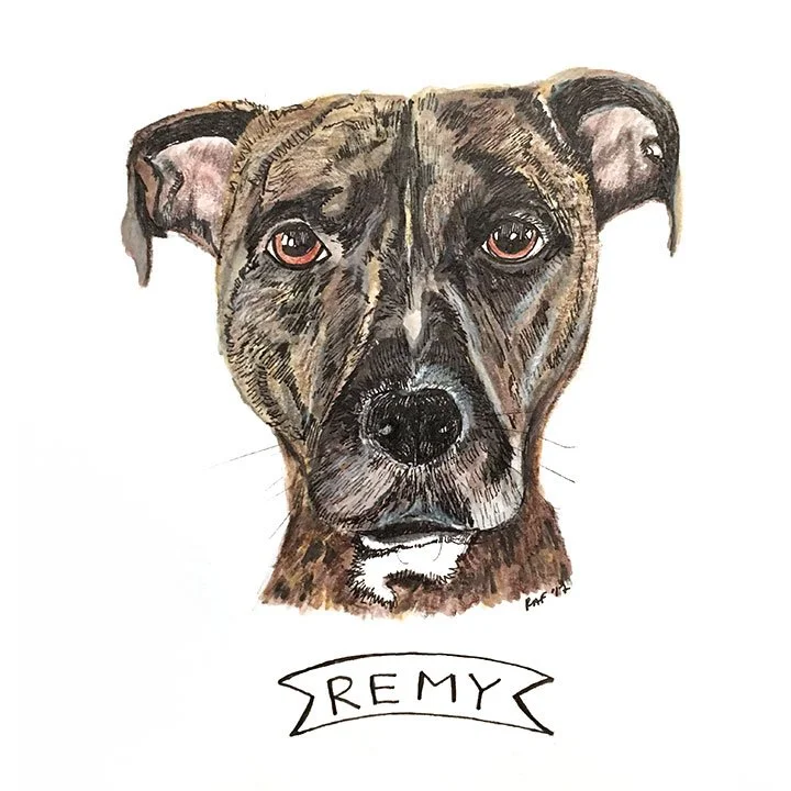 Remy.jpg