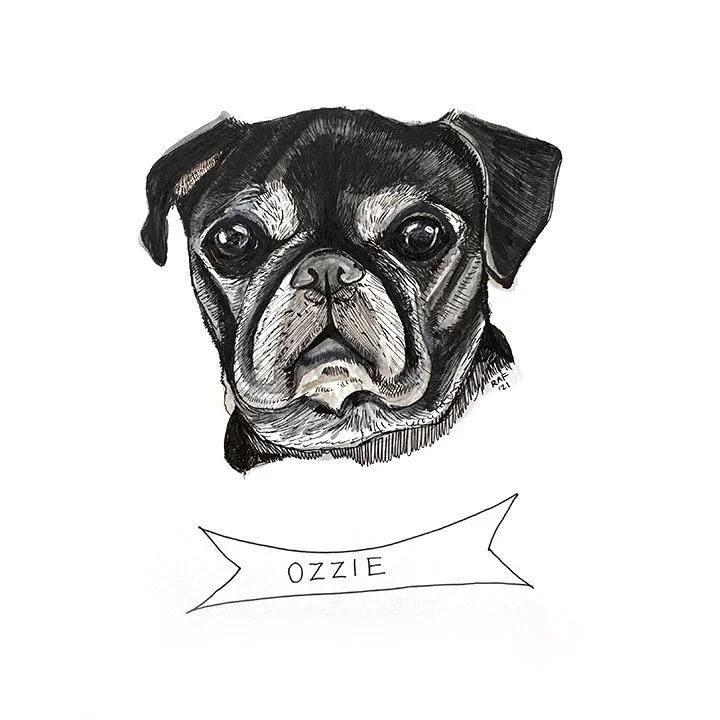 Ozzie.jpg