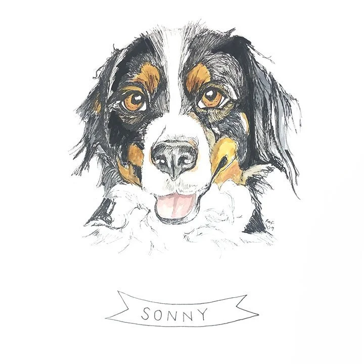 Sonny.jpg