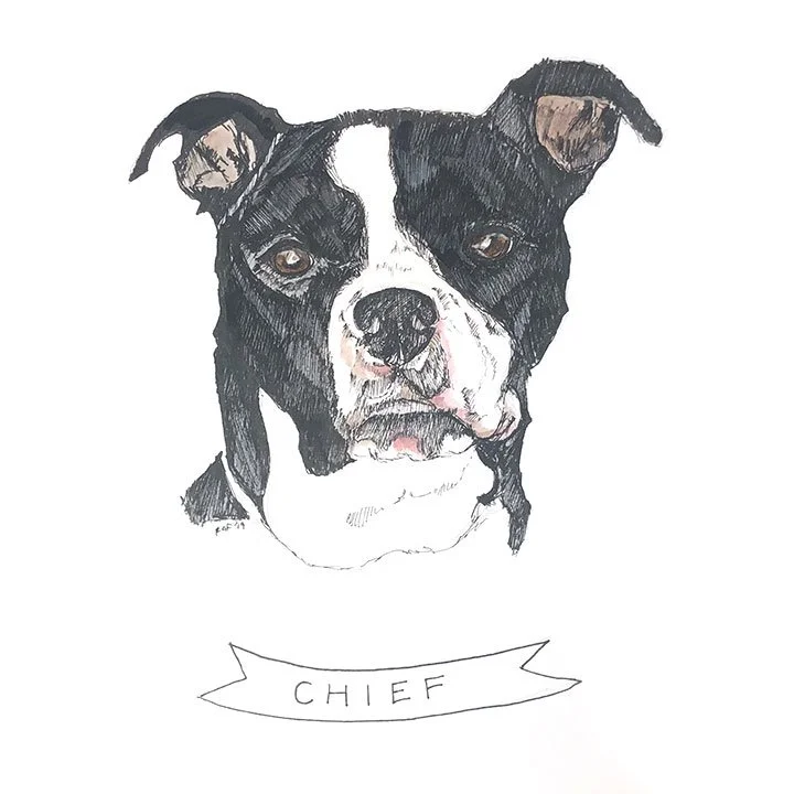 Chief.jpg