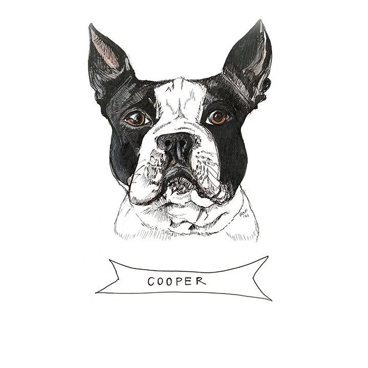 Cooper2.jpg