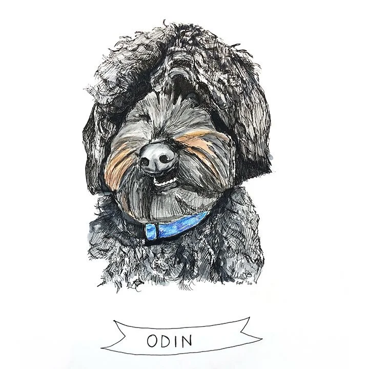Odin.jpg
