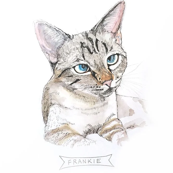 Frankie.jpg