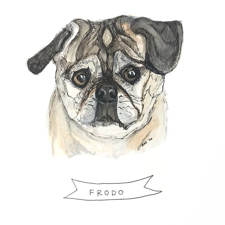 Frodo.jpg