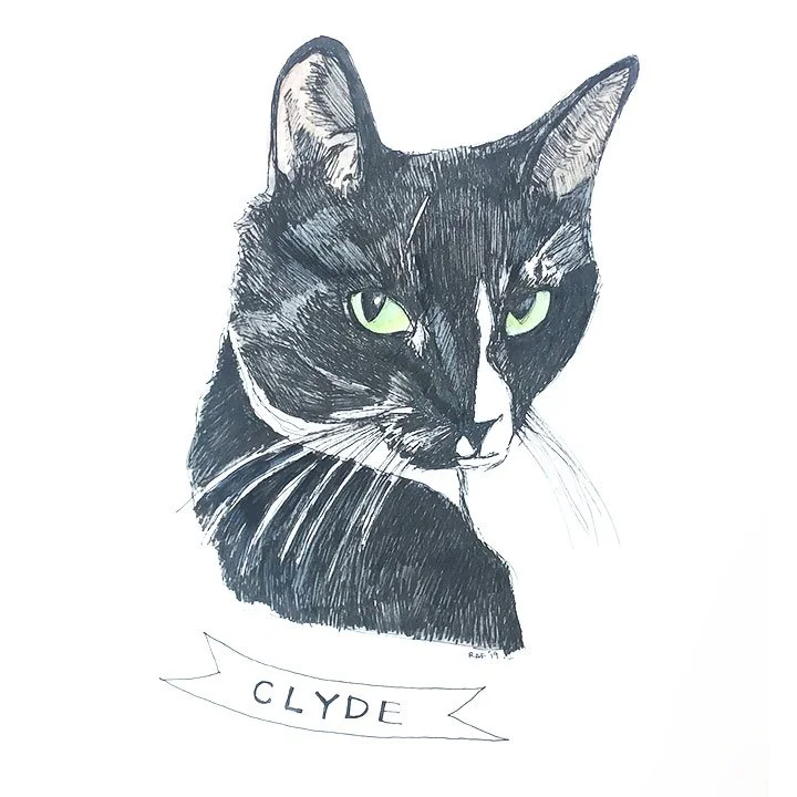 Clyde.jpg