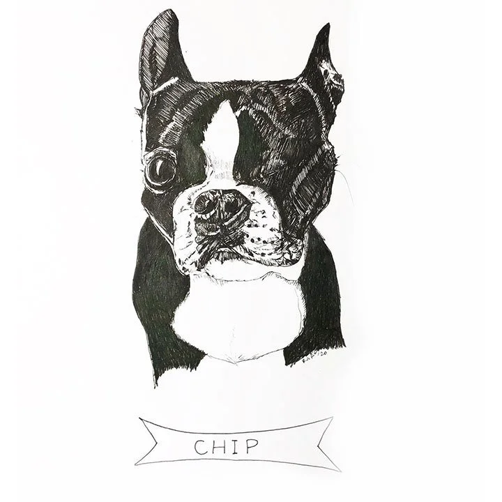 Chip.jpg