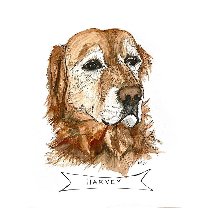 Harvey.jpg