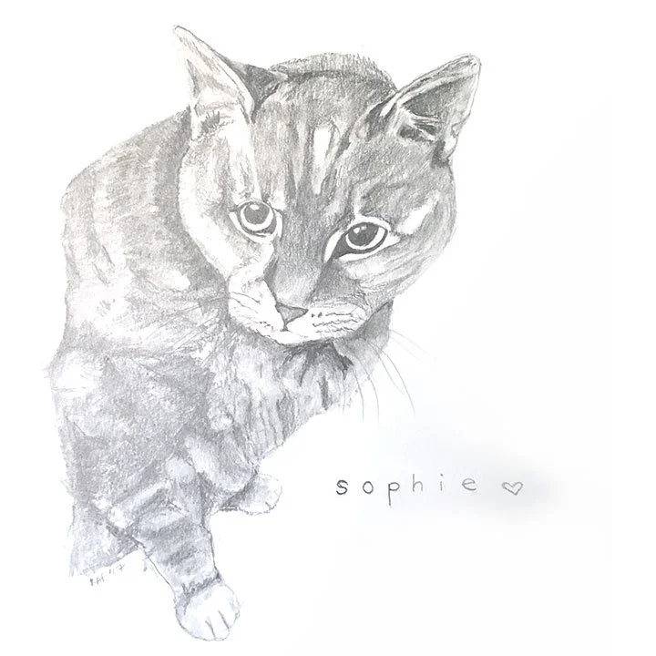 Sophie.jpg