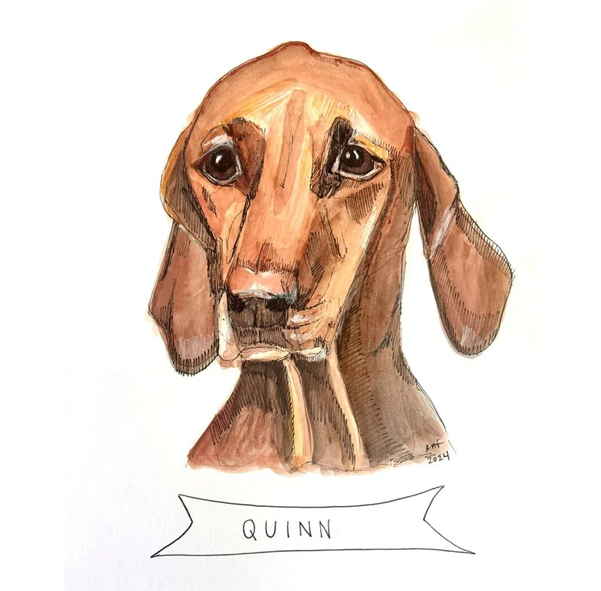 Quinn.jpg