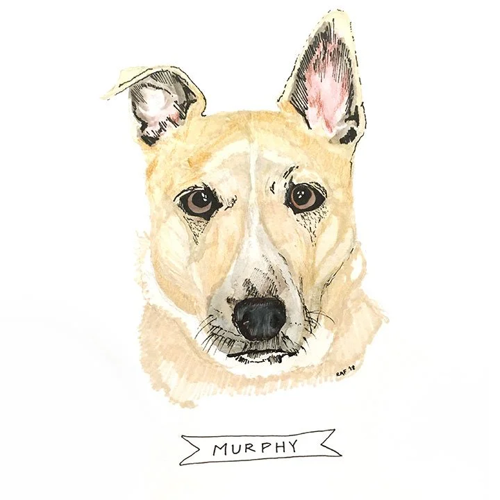 Murphy.jpg
