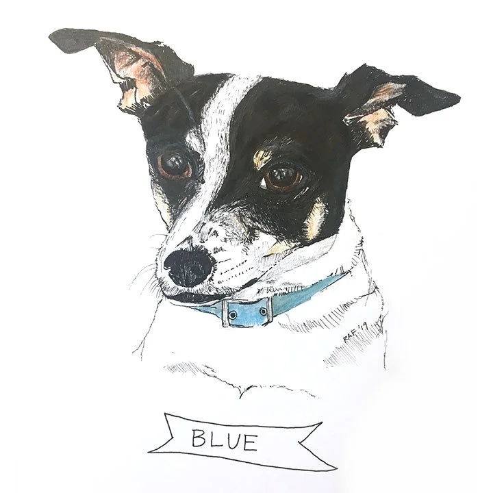 Blue 2.jpg