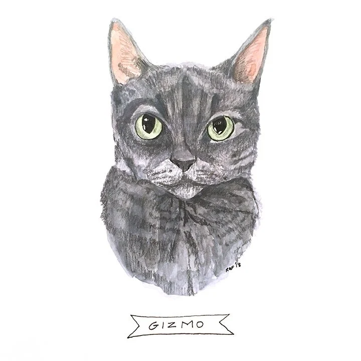 Gizmo.jpg