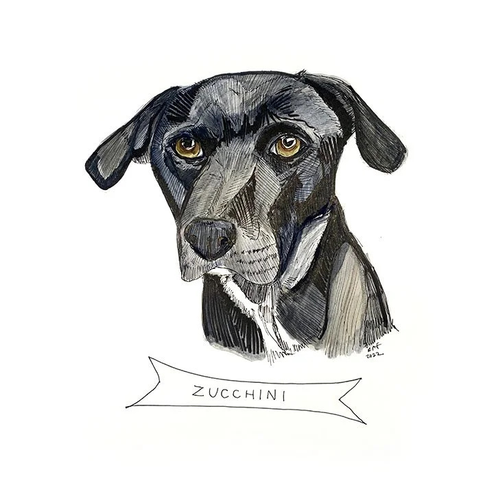 Zucchini.jpg