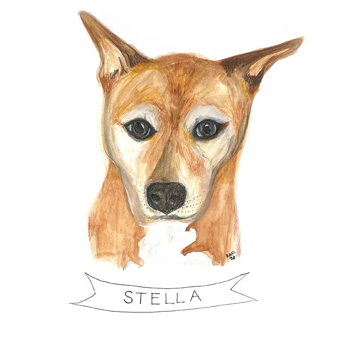 Stella.jpg