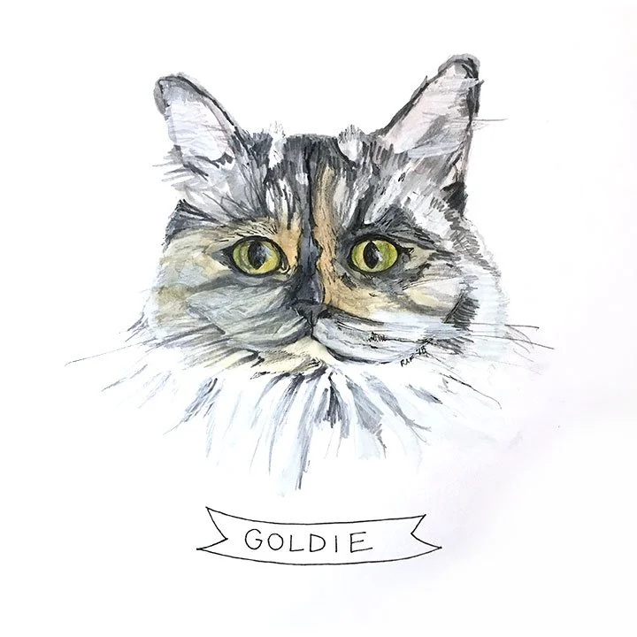 Goldie.jpg
