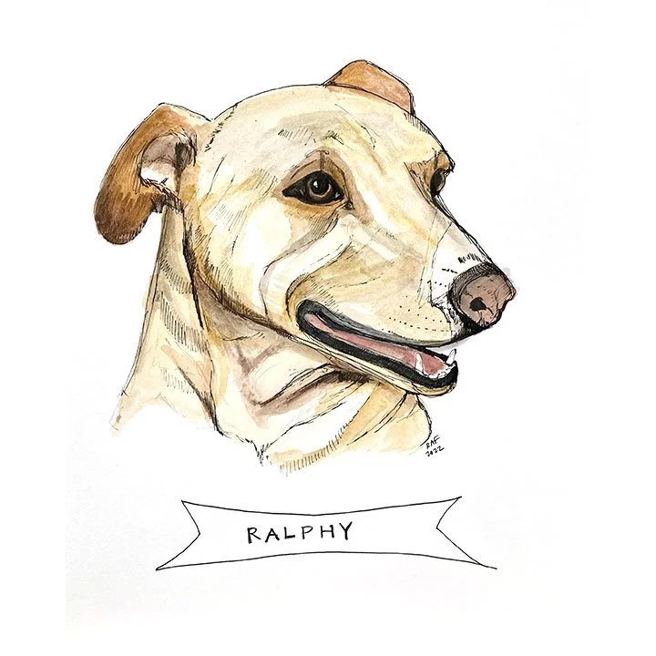 Ralphy.jpg
