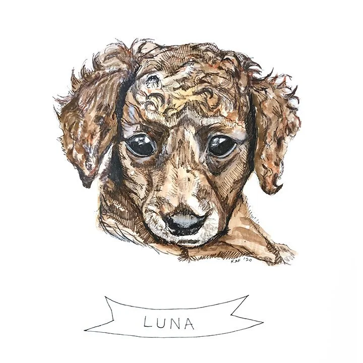 Luna.jpg